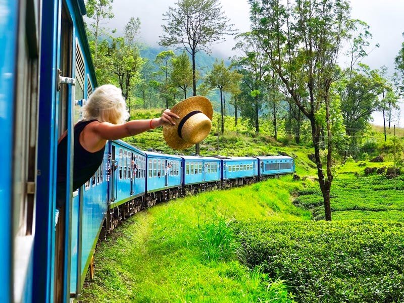 train